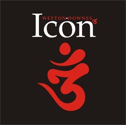 Icon #2-Icon III-2009